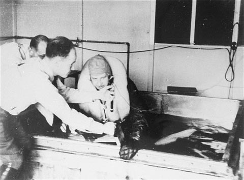 The Concentration Camps Dr Milgram s Study